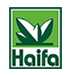 haifa